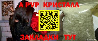 стафф Партизанск