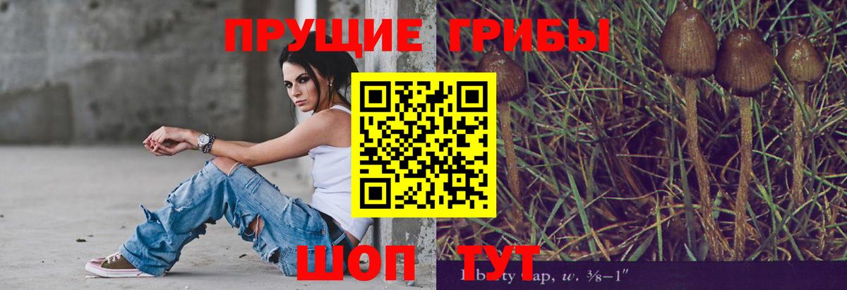 Псилоцибиновые грибы мухоморы  Псилоцибиновые грибы ЛСД  Вход с VPN  магазин  наркотиков  Семилуки 