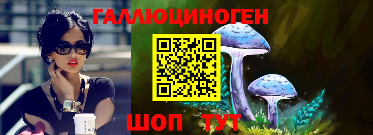 Псилоцибиновые грибы мицелий Семилуки